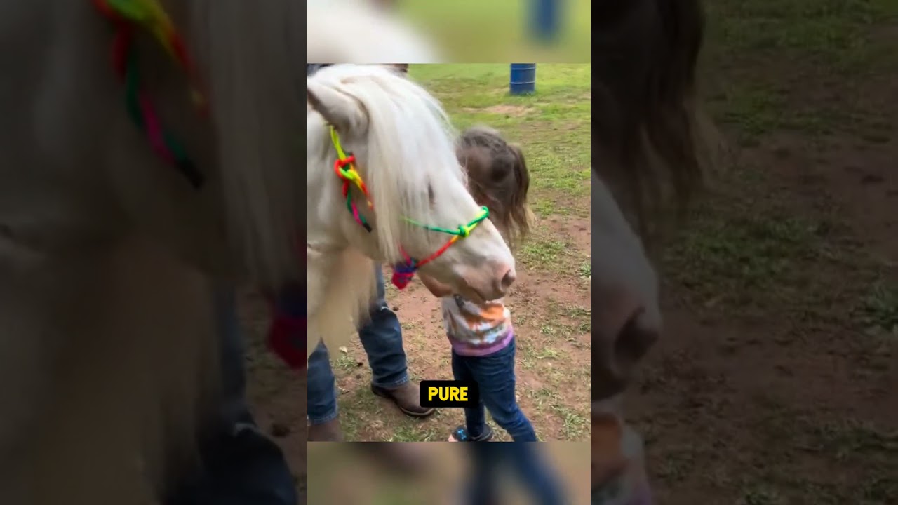 Little girl gets a pony surprise 🥰