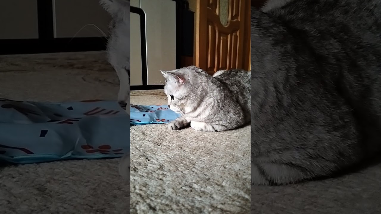 Шампанское 🍾 по домашнему 