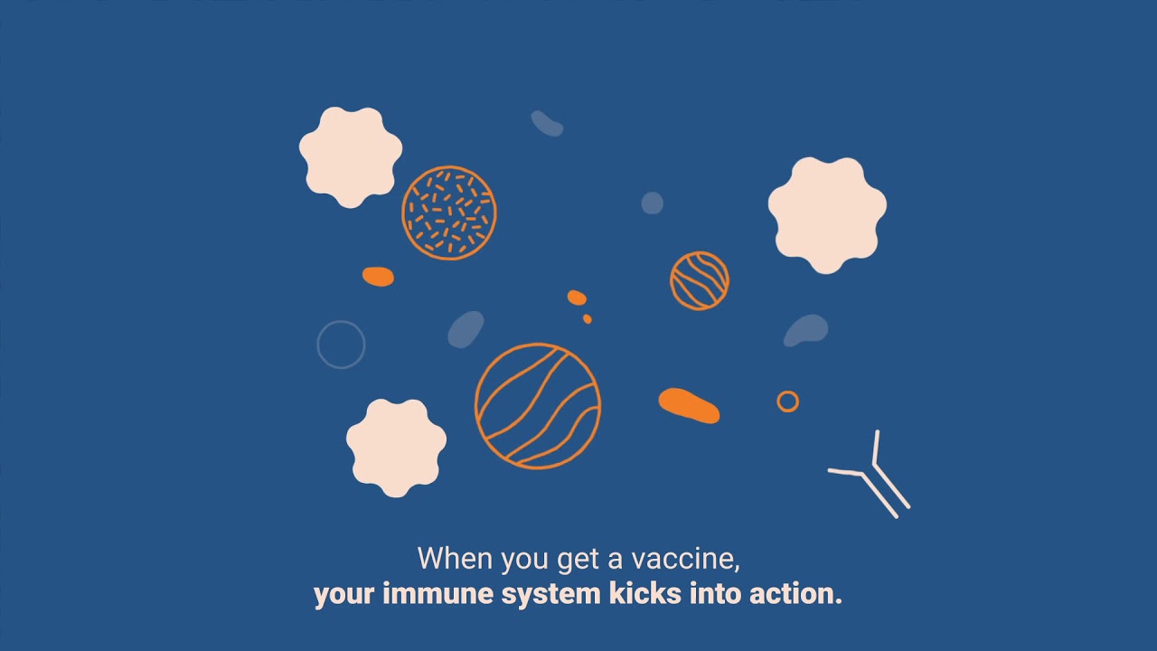 WHO: How do vaccines work?