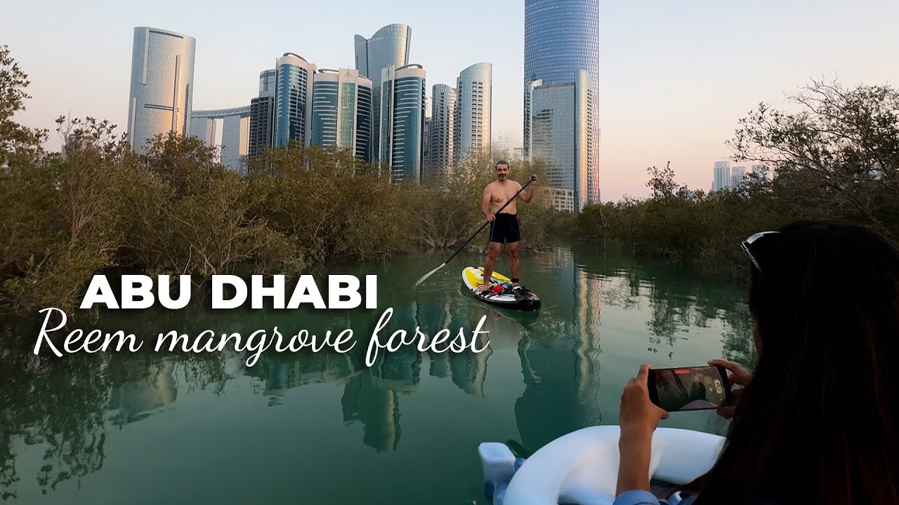 Serene Boat Ride at Mangrove Forest | Al Reem Island | Abu Dhabi | Reem Central Park