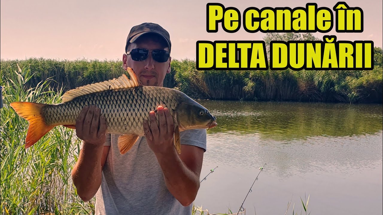 PESCUIT LA CRAP SALBATIC PE CANALELE DIN DELTA DUNARII