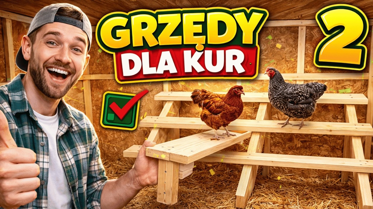 GRZĘDY DLA KUR CZ 2
