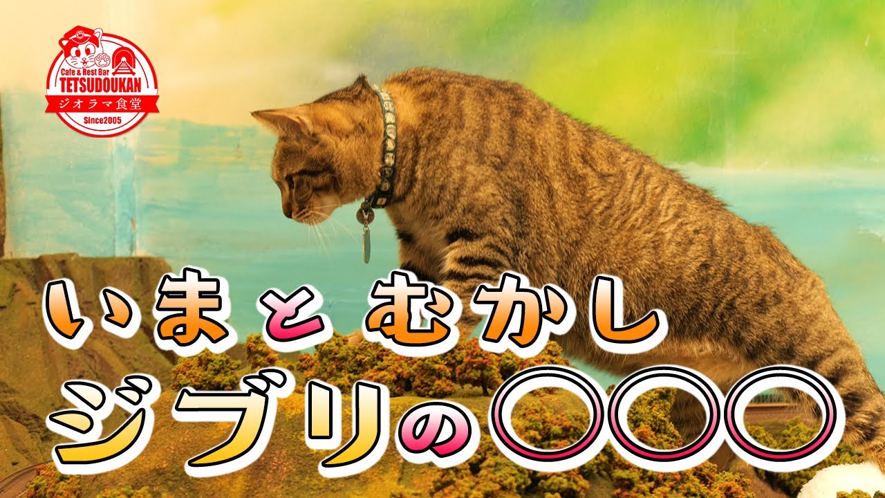 【昔と今】保護猫 だった