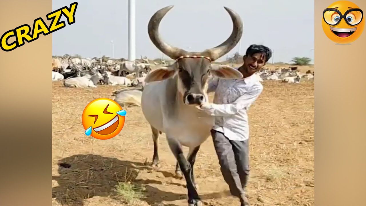Really funny try not to laugh videos 😂 PART 1 | Hilarious People Moment