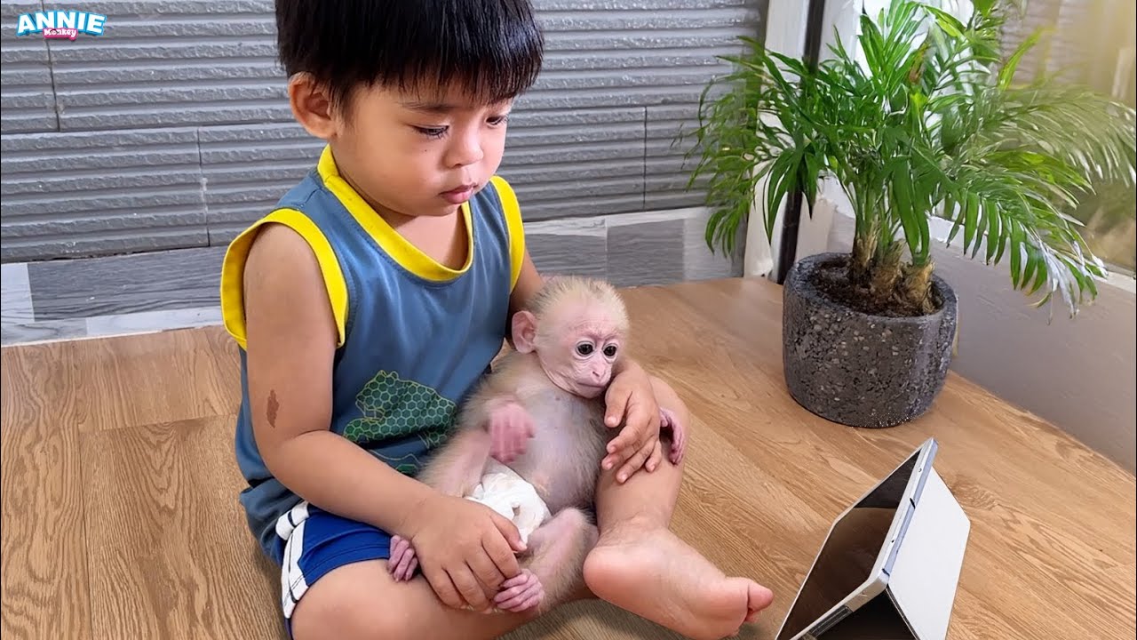 Baby Bon helps dad take care of baby monkey Annie