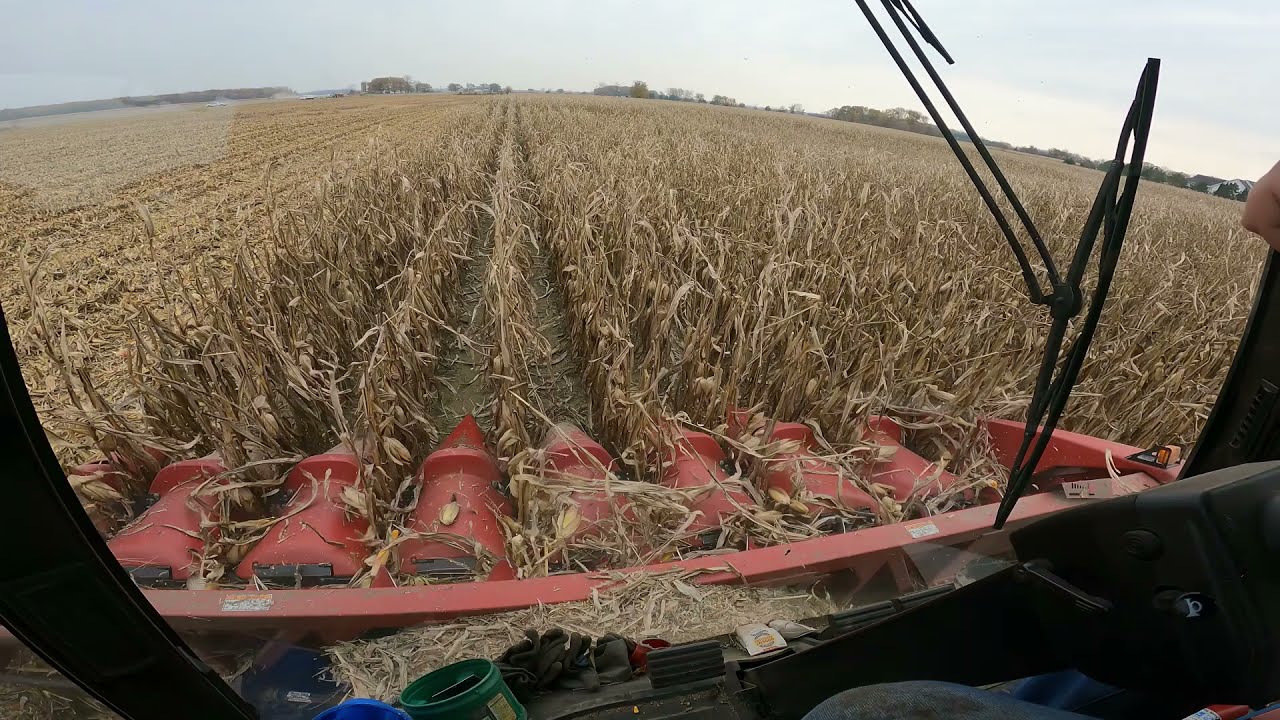 Tough-Wet Conditions - CASE IH 2388 Axial-Flow® - Cab Ride - Neighbor J.I. Case 2670 - Harvest 2021