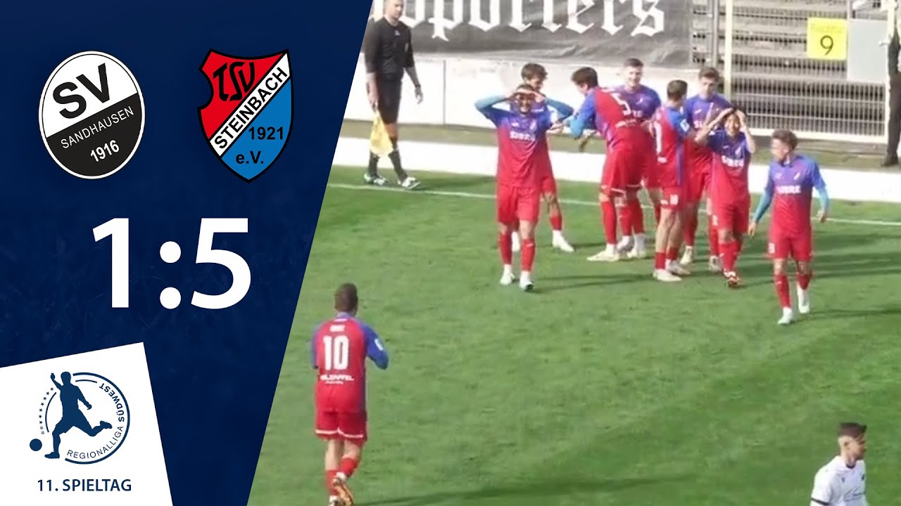 Rang 2 gefestigt | SV Sandhausen - TSV Steinbach Haiger | 11. Spieltag RLSW
