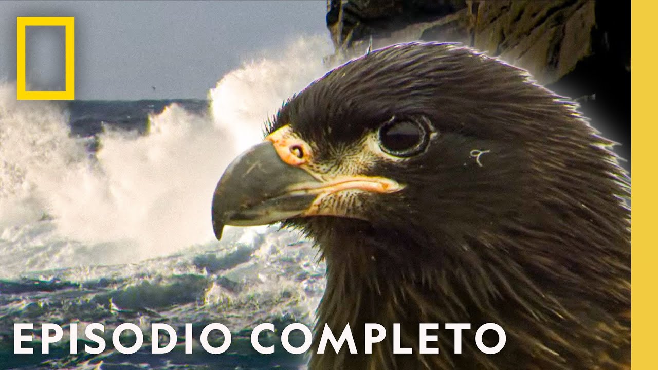Islas Extremas | Viajes Salvajes | Nat Geo en Espa&ntilde;ol