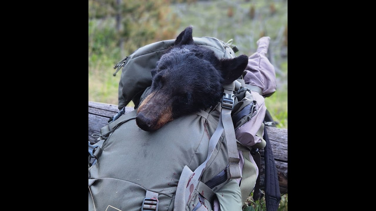 2025 Montana Spring Bear Hunt