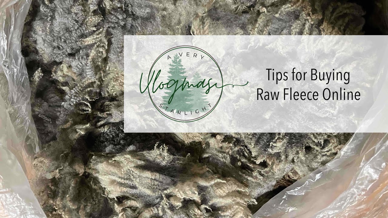 SnS Vlogmas 2022 Day 3 | Tips for Buying Raw Fleece Online