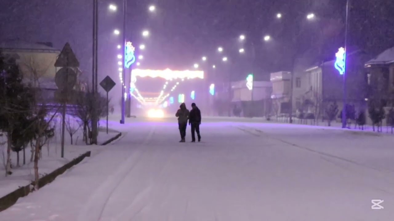 Moynaqtıń qısqı kórinisi 