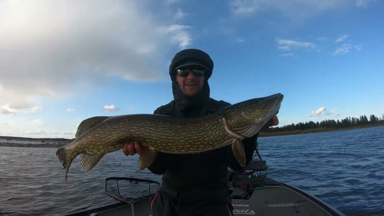 En GALET bra GÄDD-vobbler