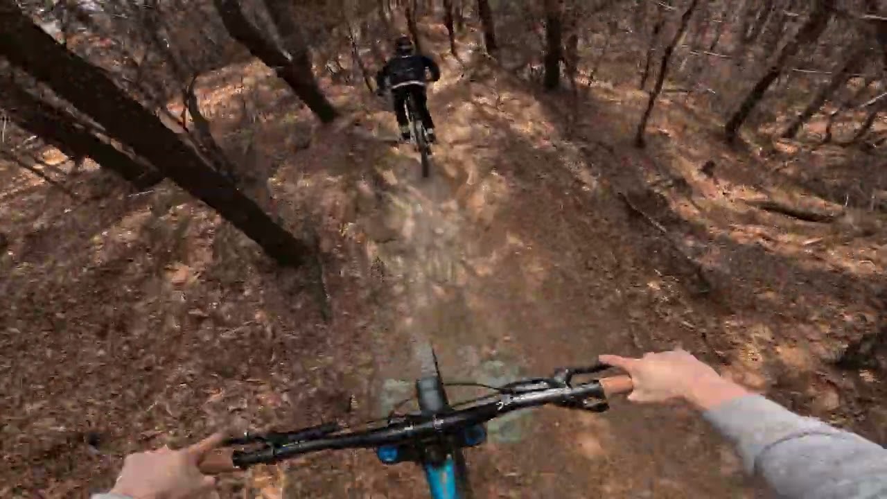 칠보 빠따 조남주씨