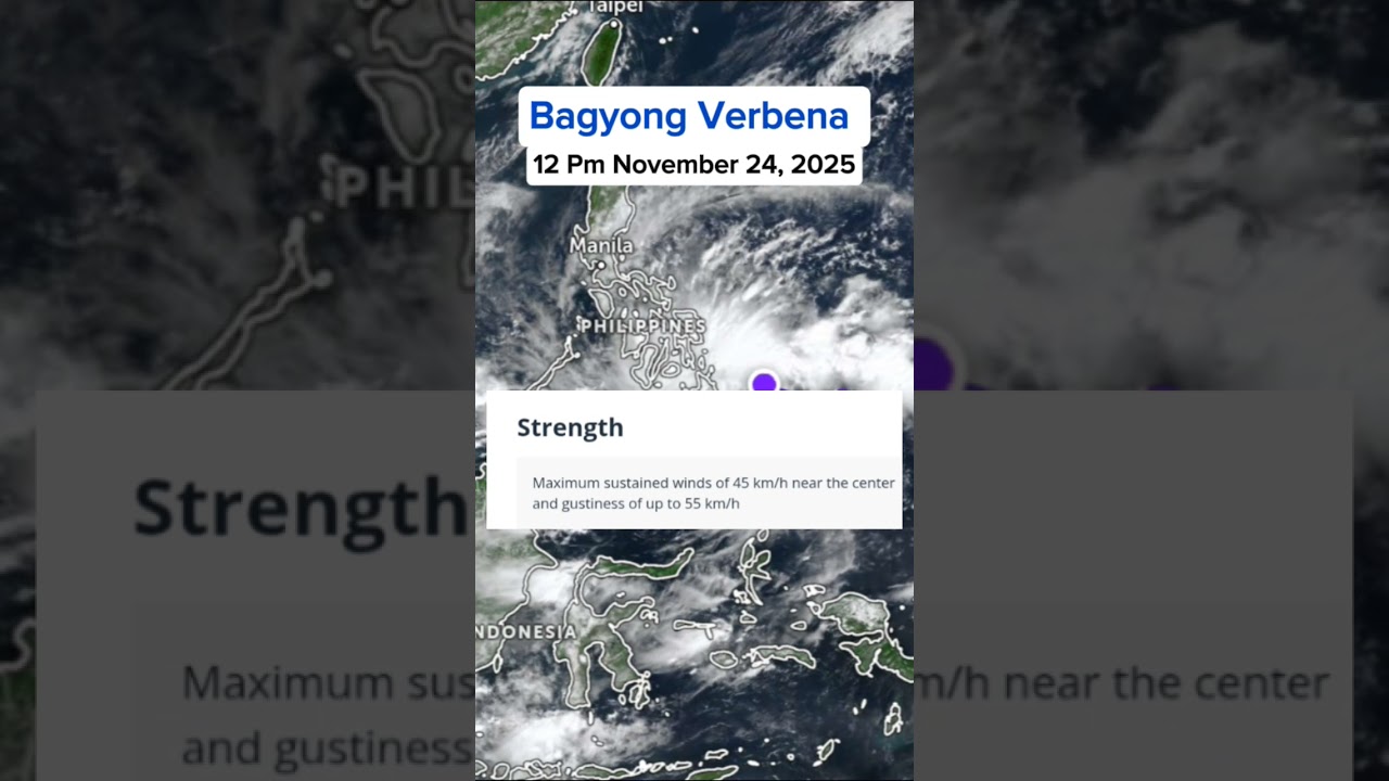 ПОСЛЕДНИЕ НОВОСТИ: Вербена Тропическая Депрессия