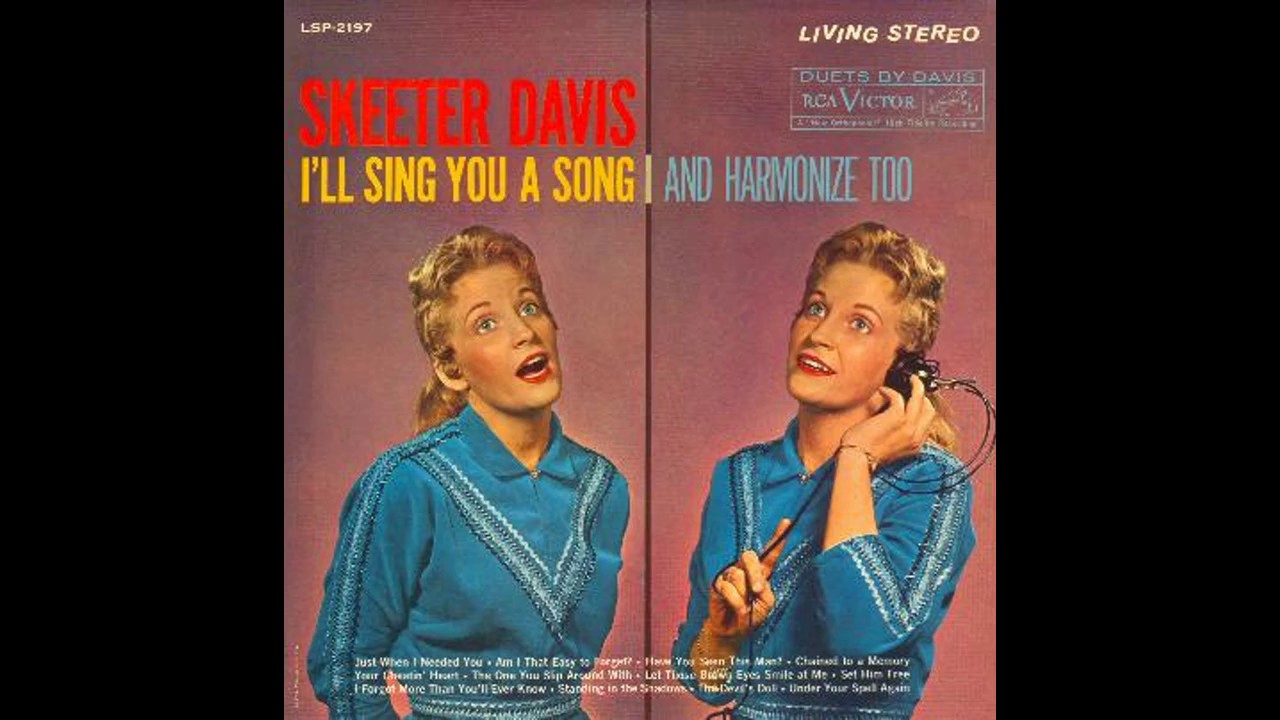 Have You Seen This Man? - Skeeter Davis