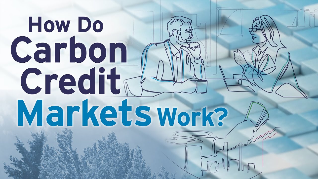 How Do Carbon Credit Markets Work?
