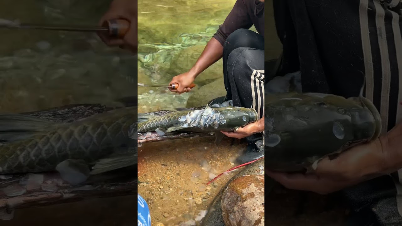 Hasil kolaborasi 