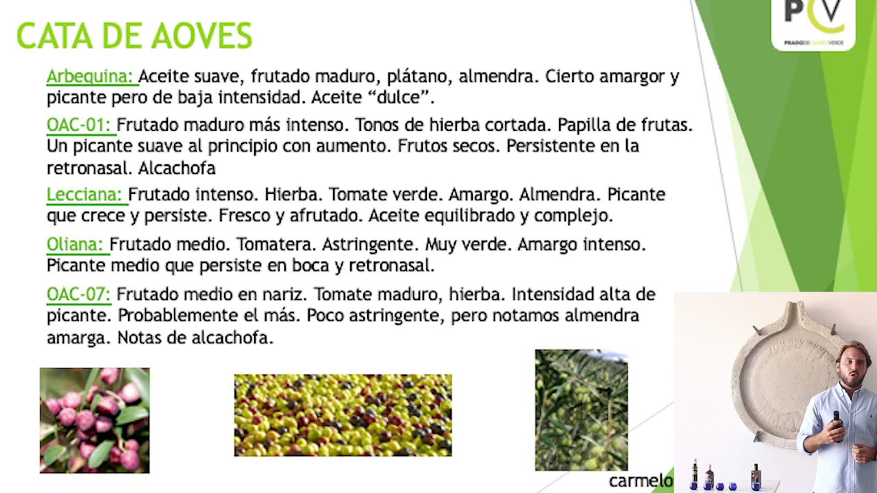 CATA #AOVES: Variedad #LECCIANA 🌿 Carmelo S&aacute;nchez