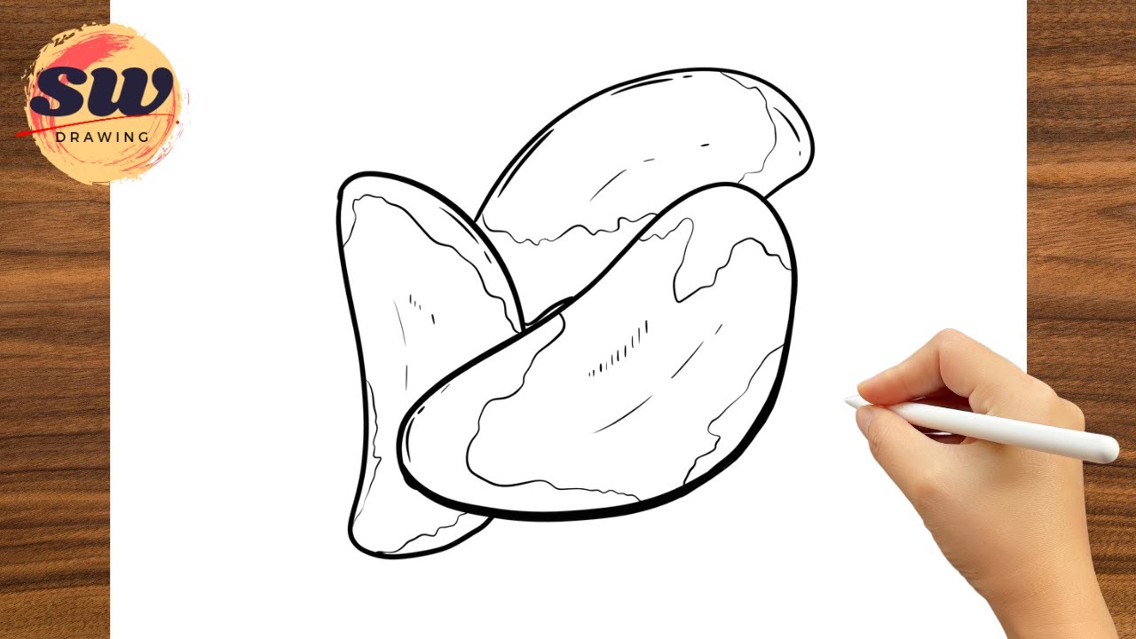 How to Draw Brazilian Nut