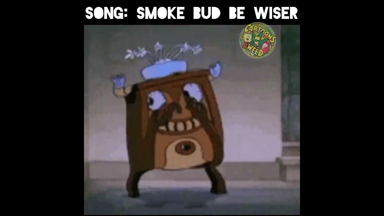 Smoke Bud Be Wiser
