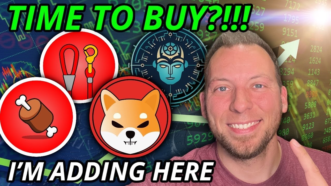 SHIBA INU BONE LEASH BAD - THE TIME TO BUY?!!! HERE'S WHERE I'M ADDING!
