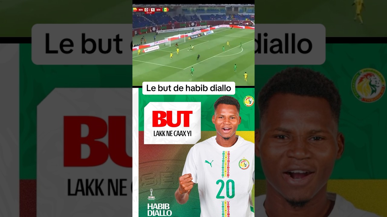 Habib diallo 