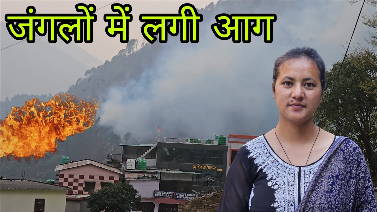 पहाड़ों में लगी खतरनाक आग ||पूरा जंगल ही जल गया ||Pahadi Lifestyle Vlog ||Avantika Chauhan Vlogs 