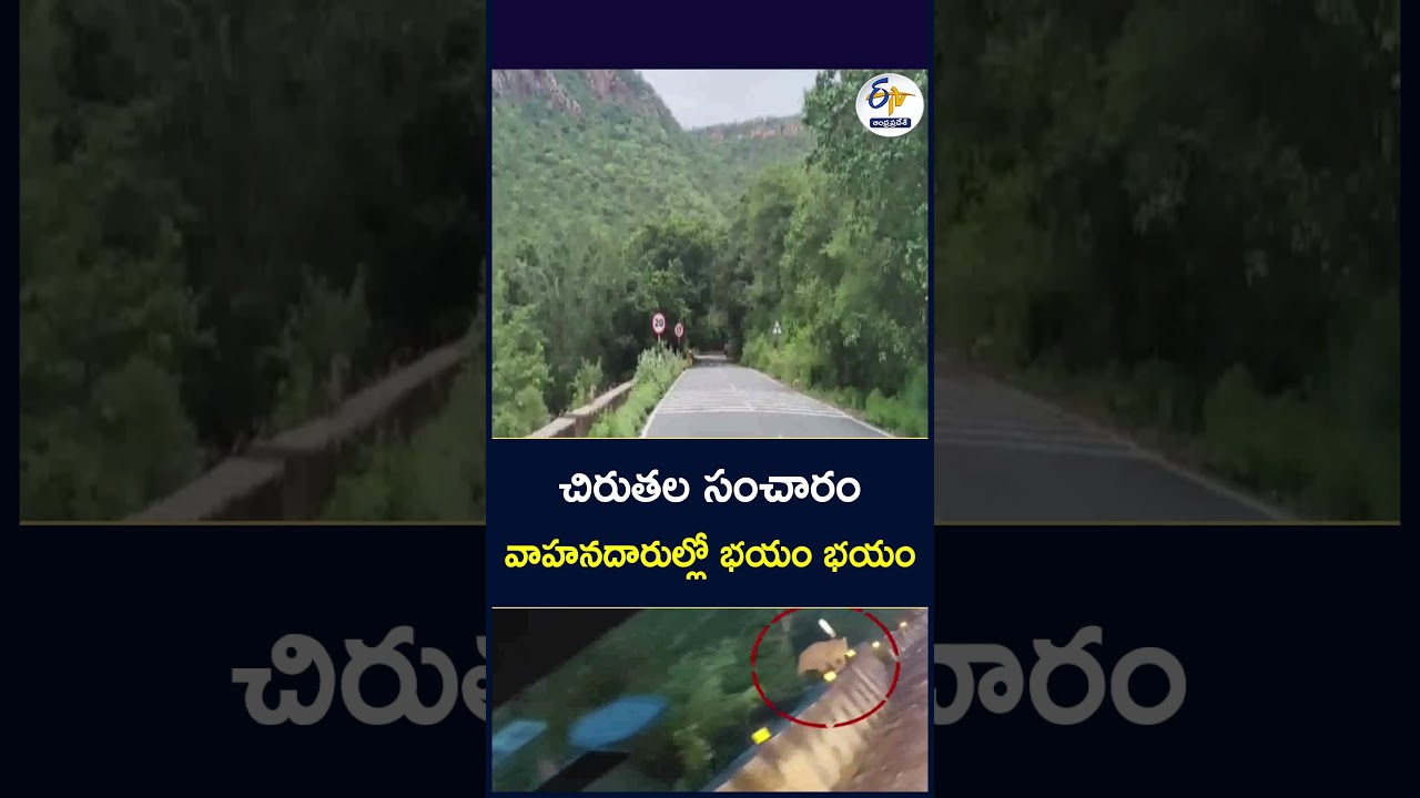 చిరుతల సంచారం వాహనదారుల్లో భయంభయం