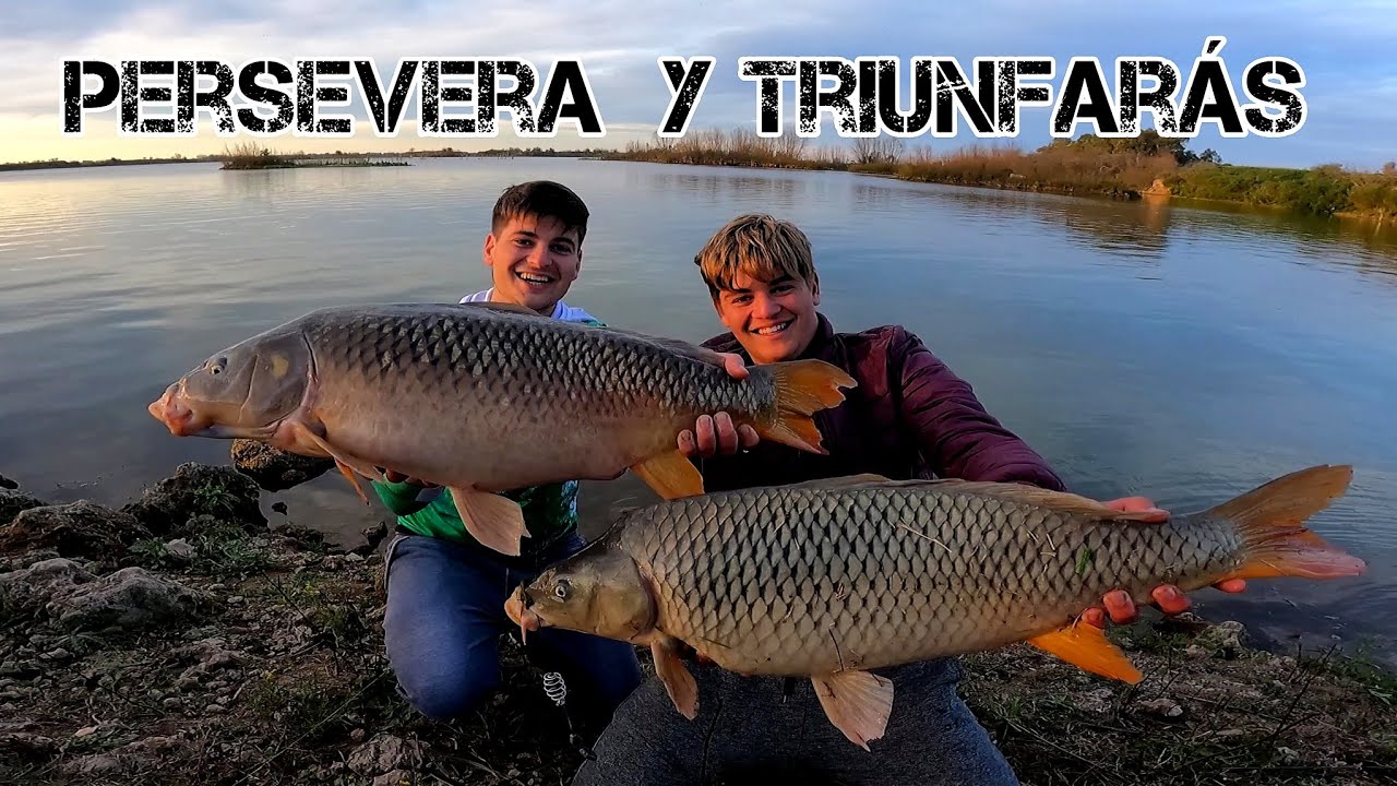 Premio 🏆 a la INSISTENCIA | PESCA de CARPAS | 2 días de 🎣