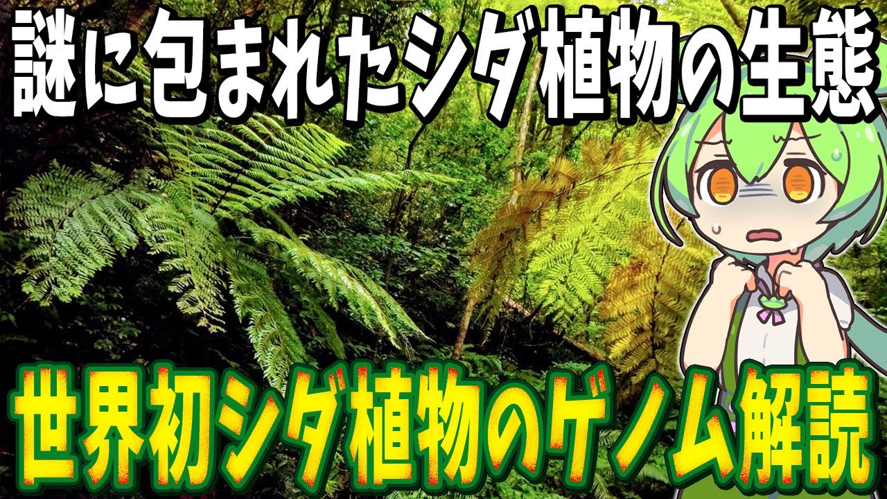 シダ植物の不思議な生態！シダ植物と植物の進化史【ずんだもん解説】