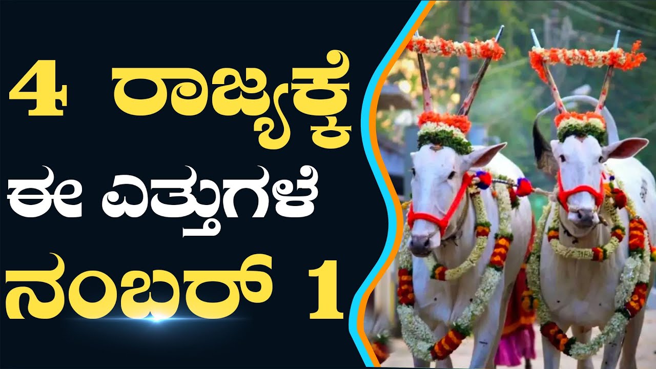 12 ಕೋಟಿ ಸಾಲ ಮಾಡಿ ಎತ್ತು ಕಟ್ಟಿದ್ದೆ 
