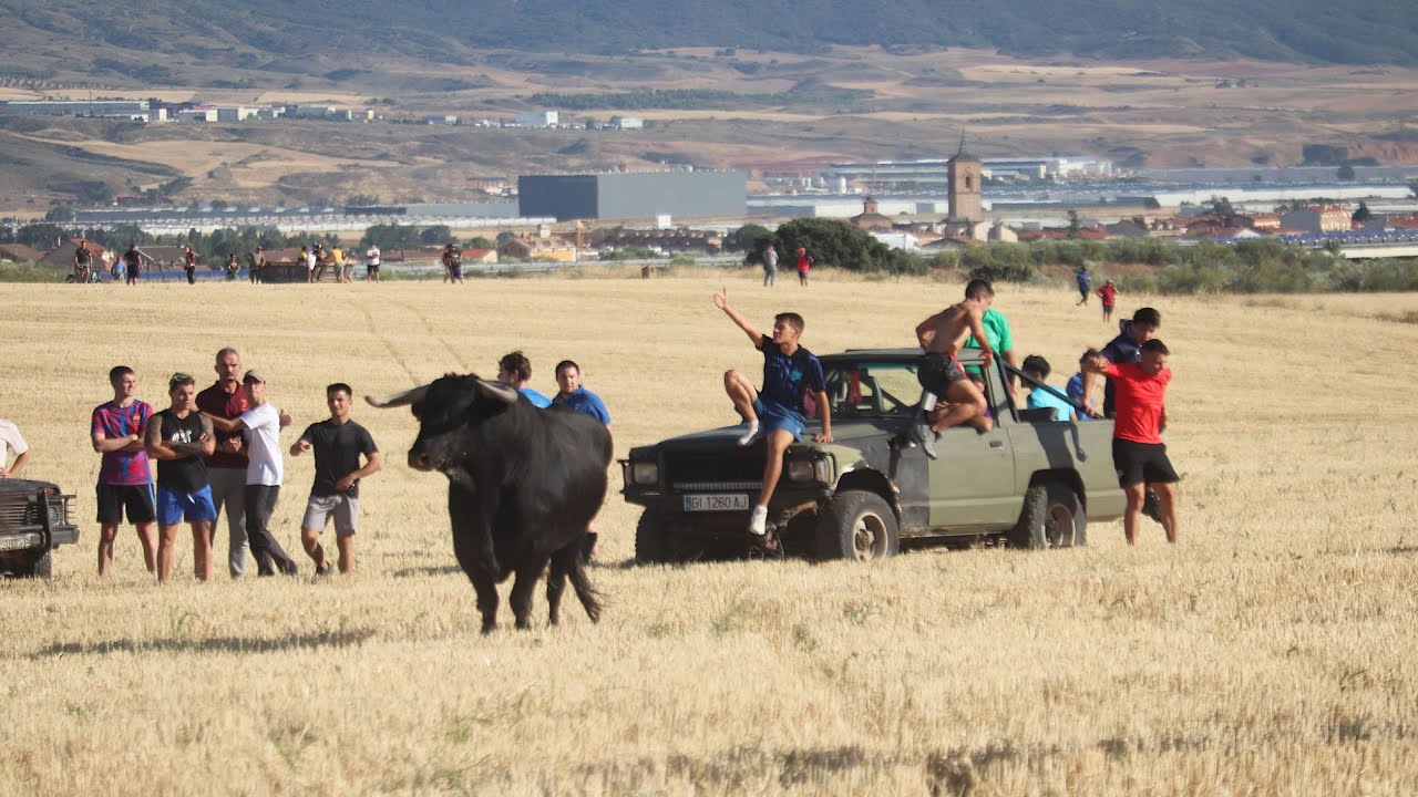 La temporada taurina 2025 de los encierros, al detalle