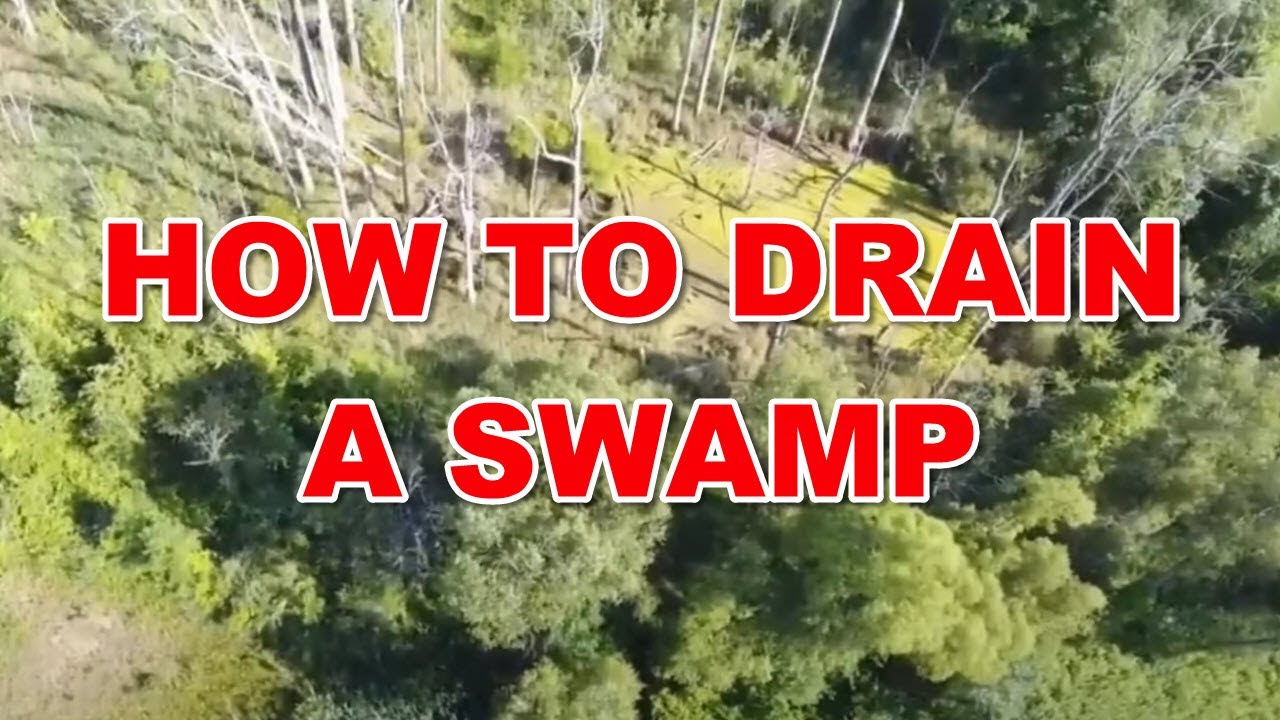 How to Drain a Swamp  [ 8-11-2020 ]