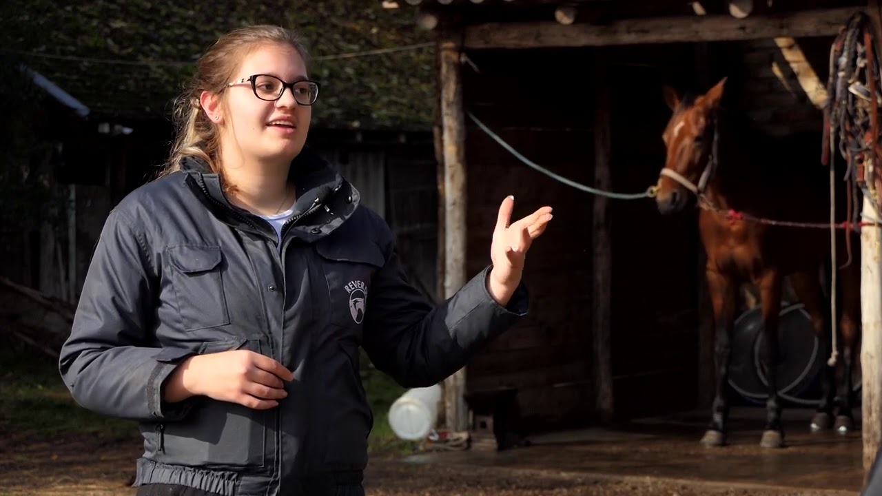 Biram selo ep. 60 11.11.2020. Porodica Brzovan, poljoprivredno turističko gazdinstvo, ergela konja