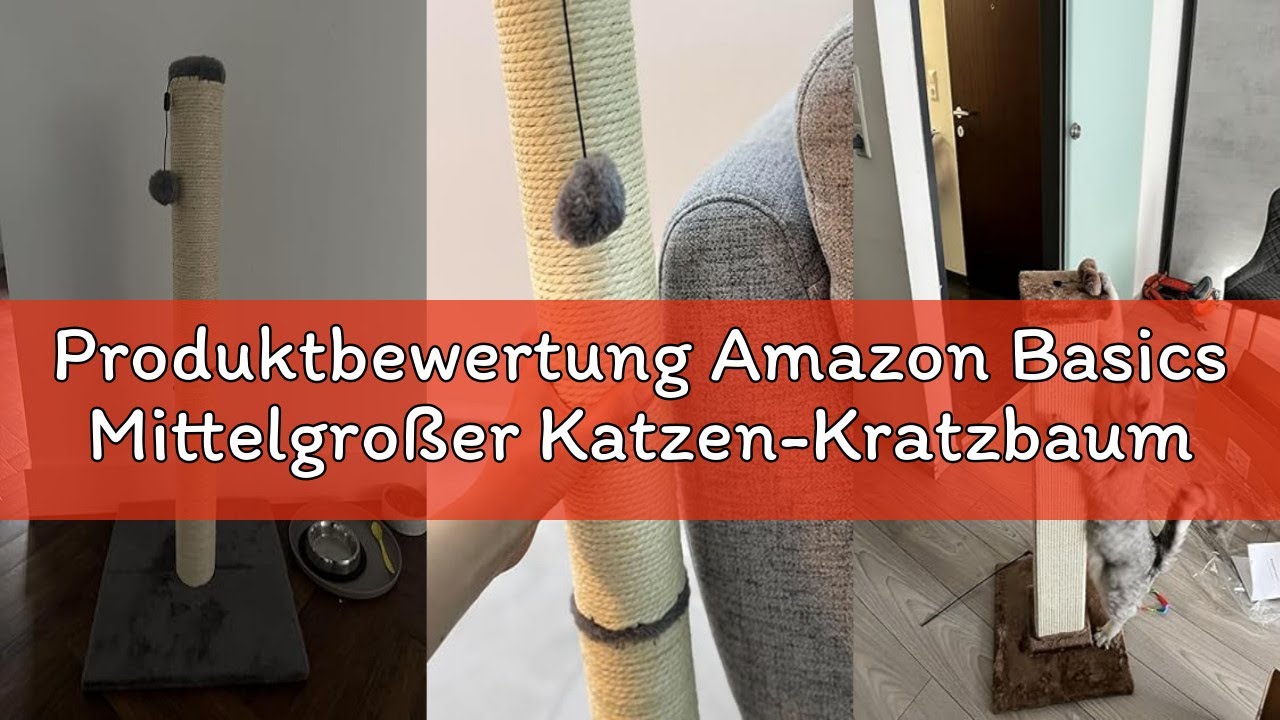 Produktbewertung Amazon Basics Mittelgroßer Katzen-Kratzbaum, 40.01 x 40.01 x 80.01 cm, Grau