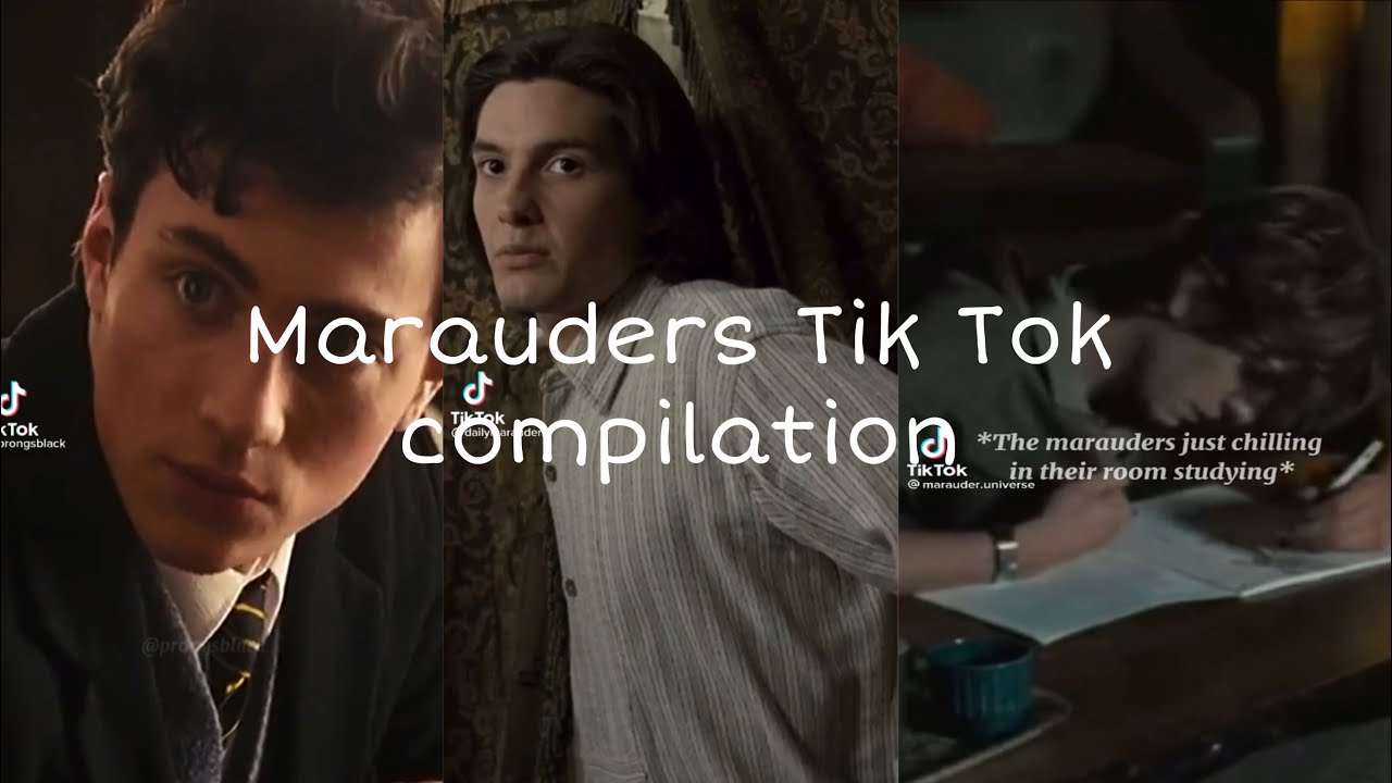 Marauders Tik Toks that made Snivolus play with his chemistry set