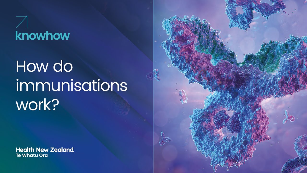 How Immunisations Work in the Body