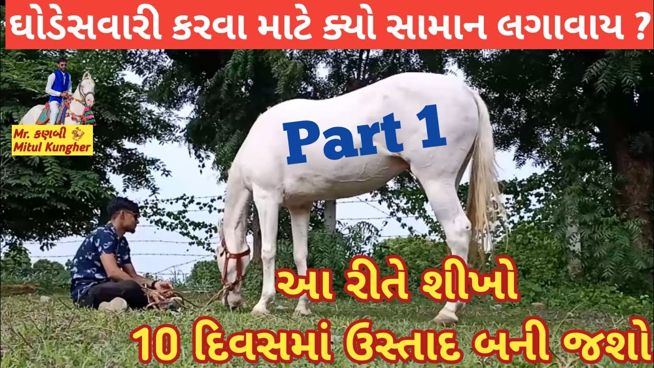 #mitulpatel  ઘોડેસવારી માટે ઘોડી પર સામાન આ રીતે લગાવાય Part 1  Mr. કણબી 🐎 #horsestatus