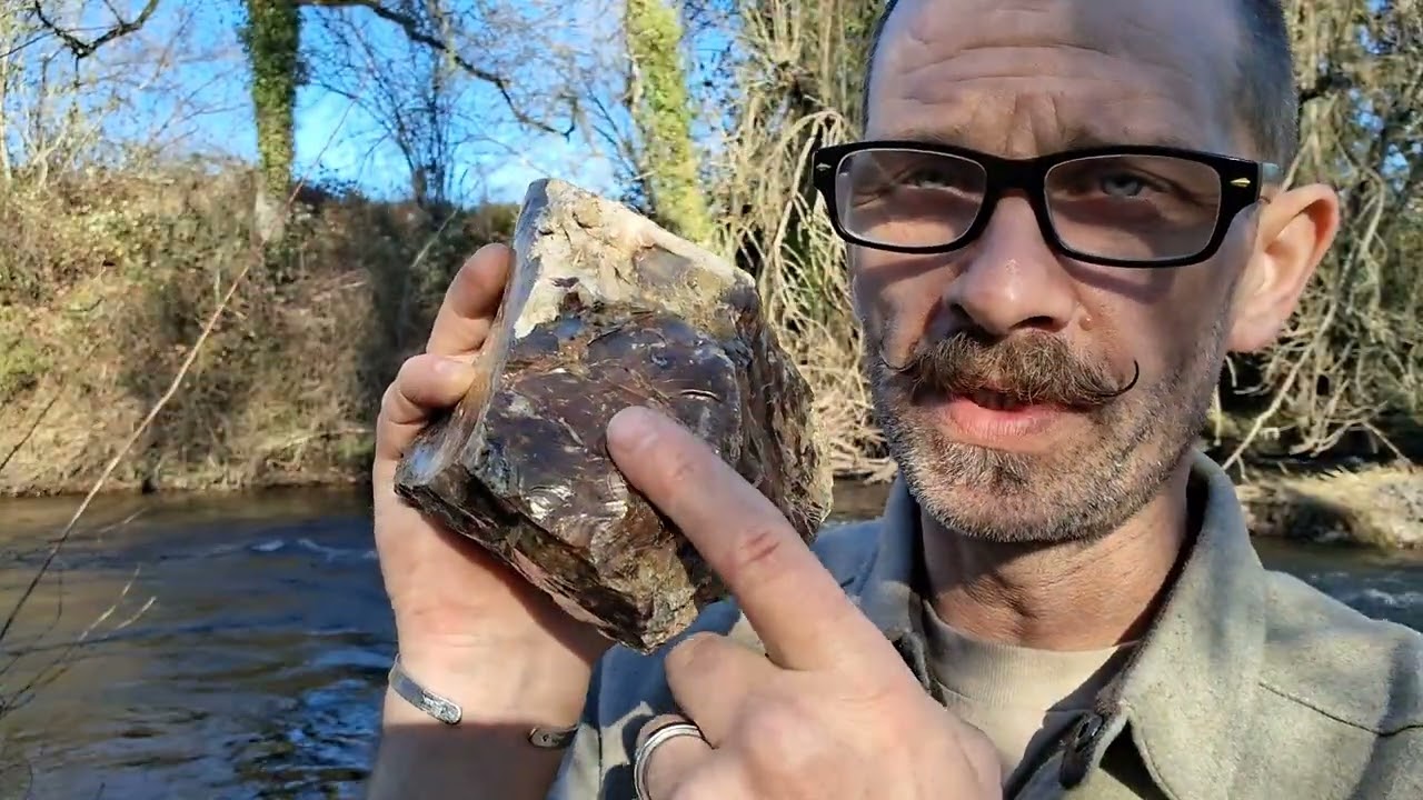 Petrified wood explained.