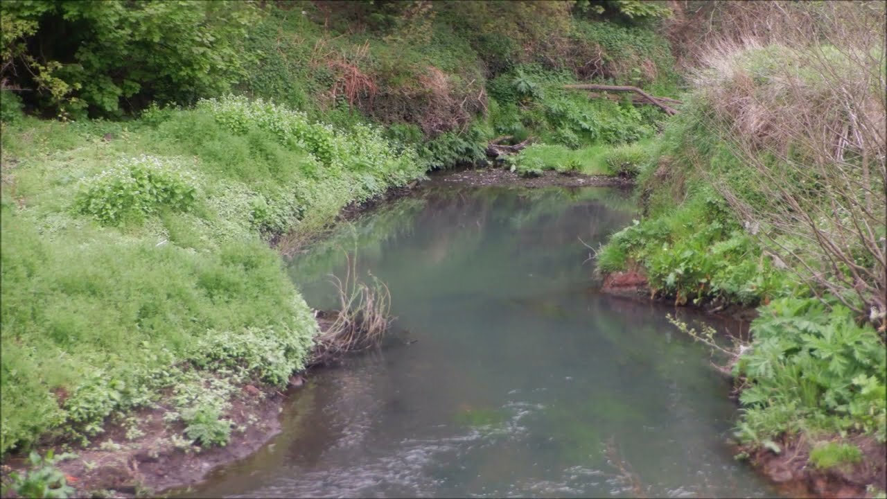 Ridge Hill Woods / Lawnswood to Bells Mill, River Stour, Wordsley Stourbridge, South Staffordshire