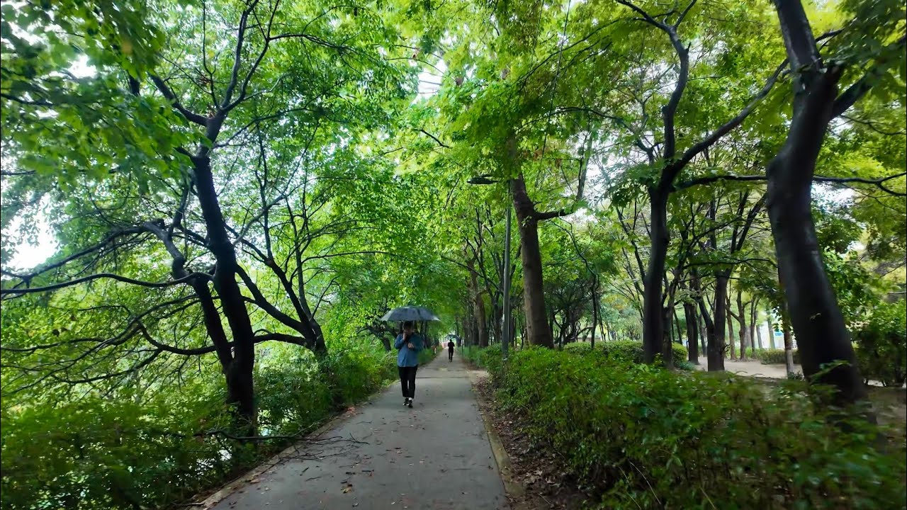 Rainy walk in Seoul ☔️ | Seoul Walk [4K]