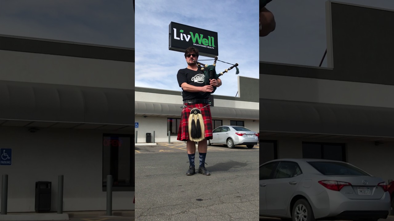 Happy St. Patrick's Day from LivWell & World Cannabis Week!