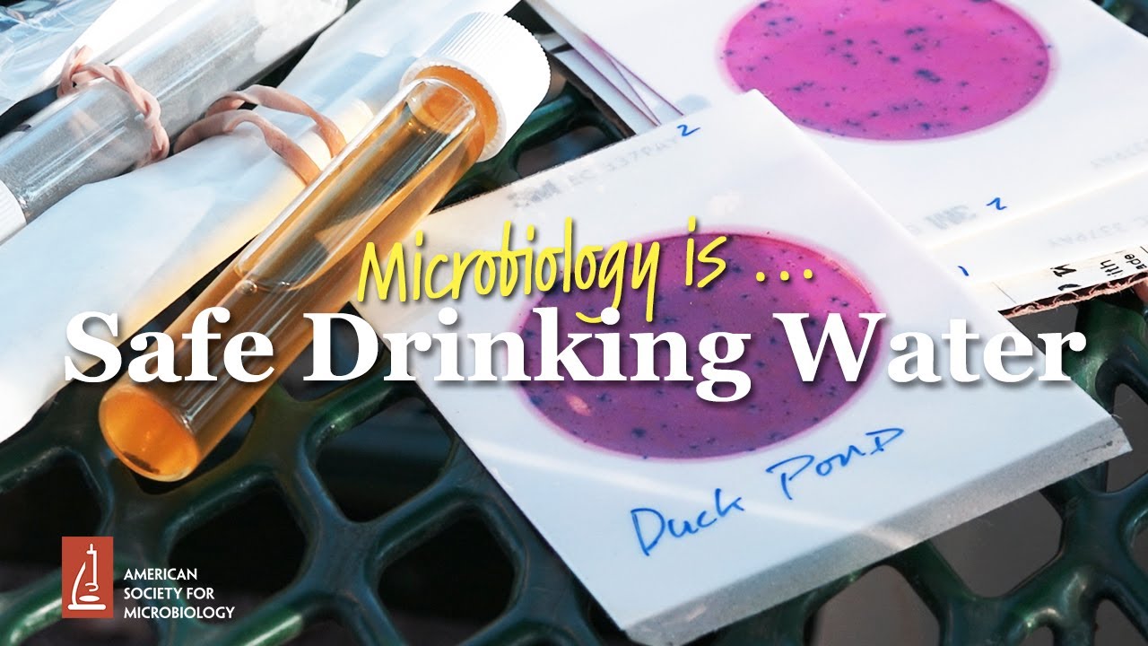 Microbiology Is ... Safe Drinking Water