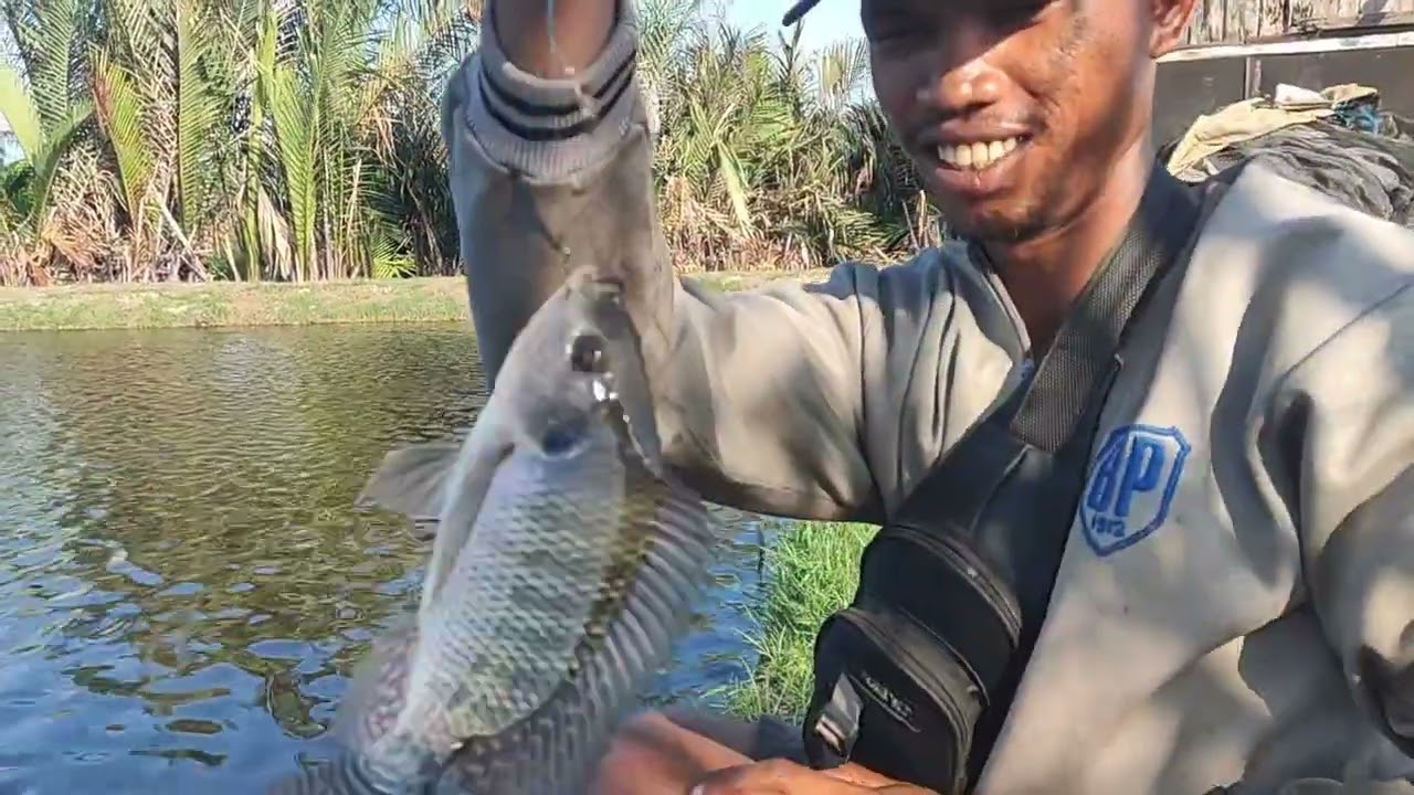 Bukak ke 2 kolam Wak Jono tgl 1/3/2026 tkt 50 RB jam 5 pagi kpum 