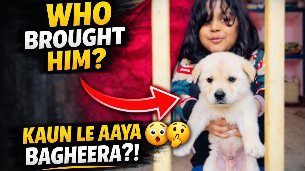 Day 36 - Bagheera sirf dog nahi…ek kahani hai ❤️🐶par laaya kaun? 🤔 