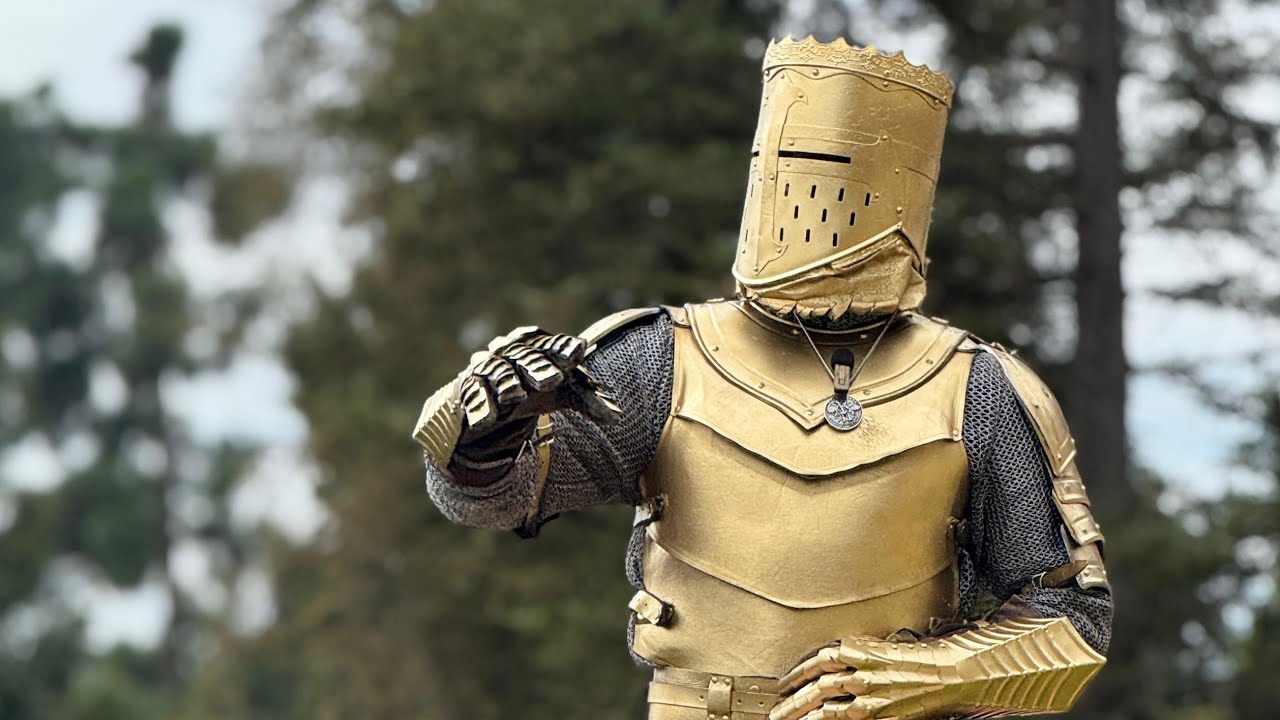 ALL HAIL THE KING!! ⚔️👑🤺