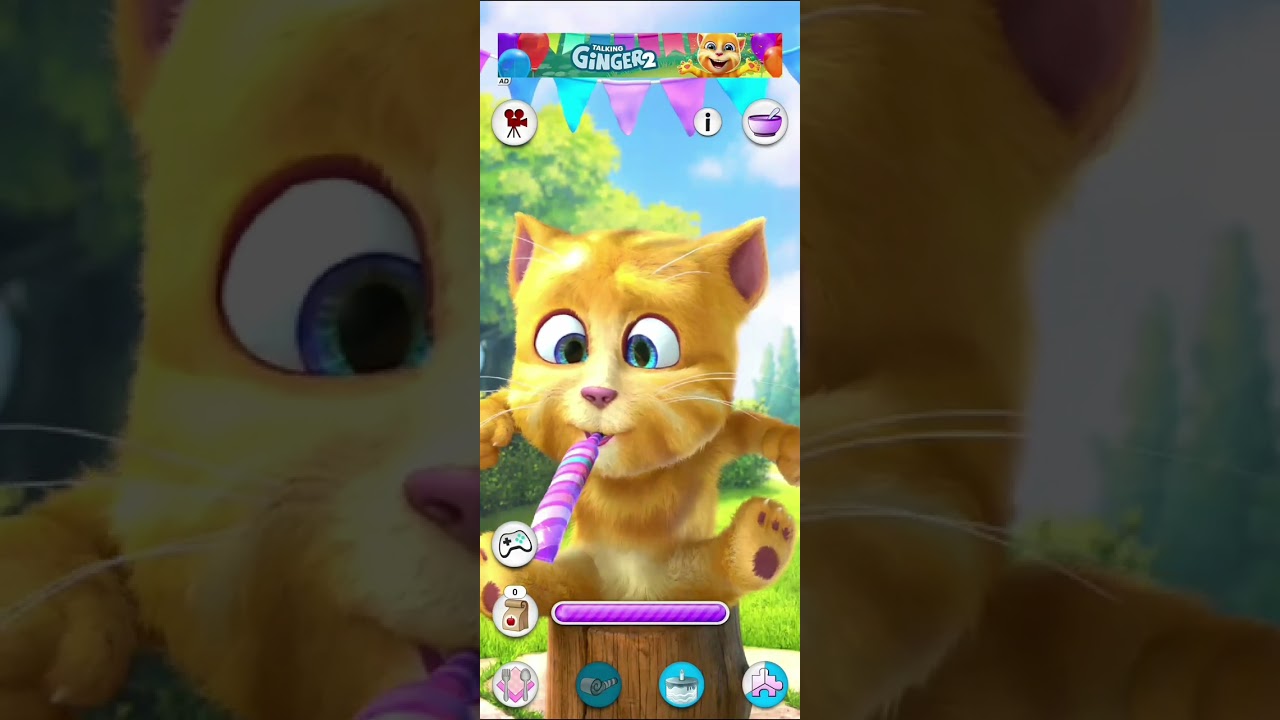 Talking Ginger 2😂 Talking Ginger Tom 