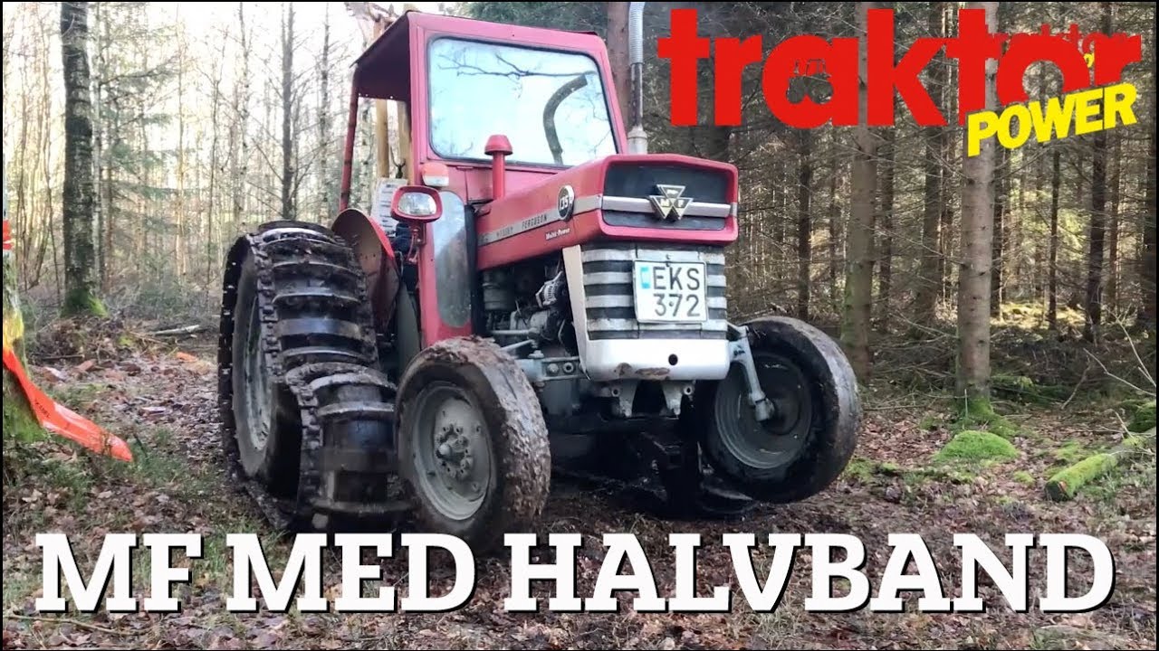 Skogsdag med veterantraktorer - MF 135 med ÖSA-halvband