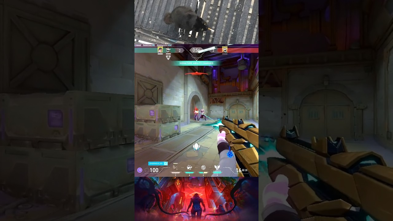 pReCiSe GuNpLaY #valorant #valorantclips