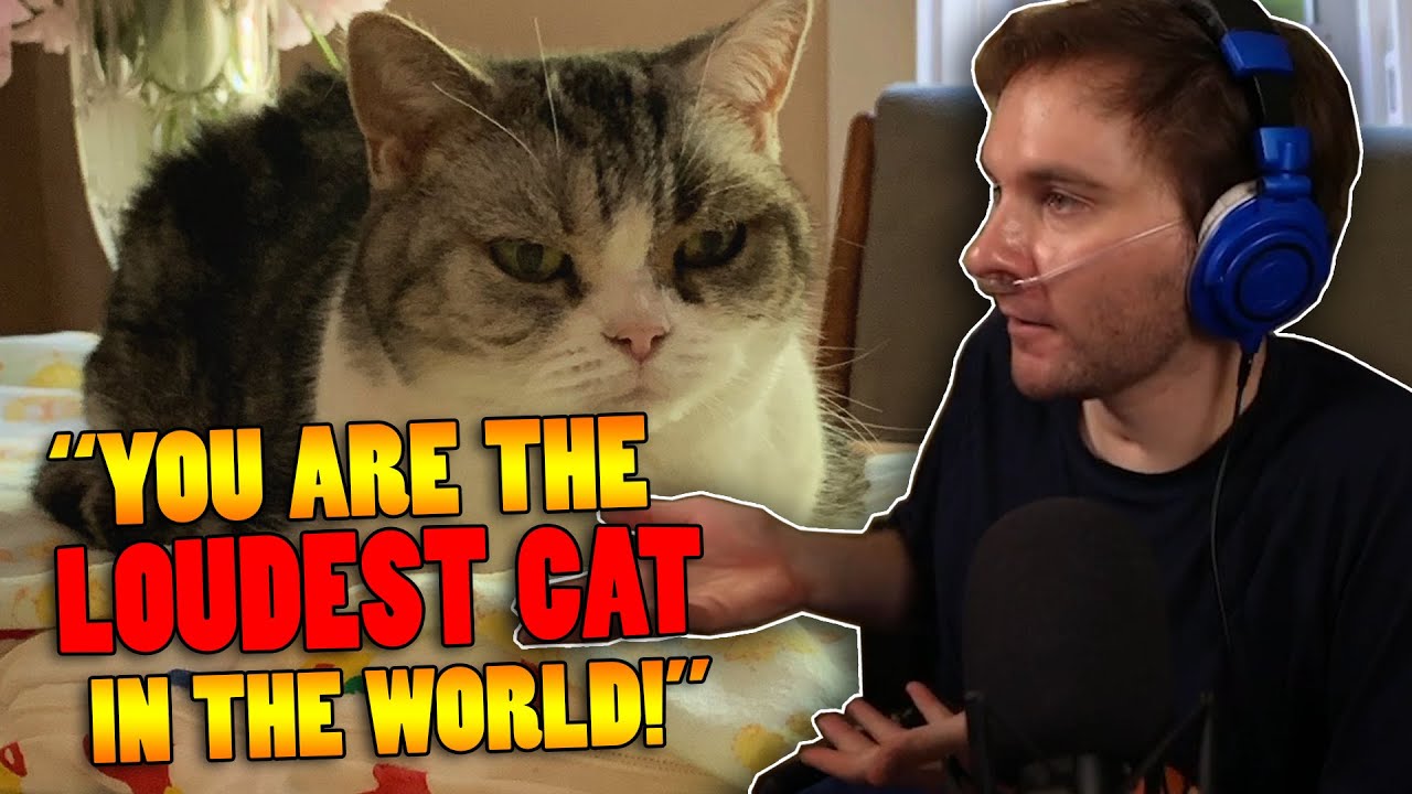 Scar Gives In To Queen Jellie!